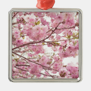 Double cherry blossoms in Japan Silbernes Ornament