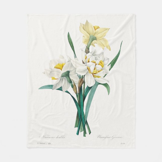 Double Daffodil,  Pierre-Joseph Redouté, 1827 Fleecedecke (Vorderseite)
