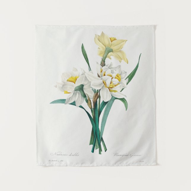 Double Daffodil,  Pierre-Joseph Redouté, 1827 Wandteppich (Vorderseite)