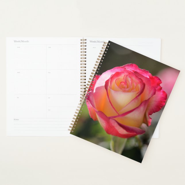 Double Delight Rose Planer (Anzeige)