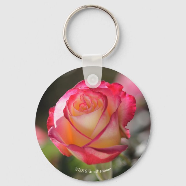 Double Delight Rose Schlüsselanhänger (Vorderseite)