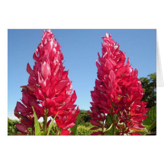 Double Flame Blume v2