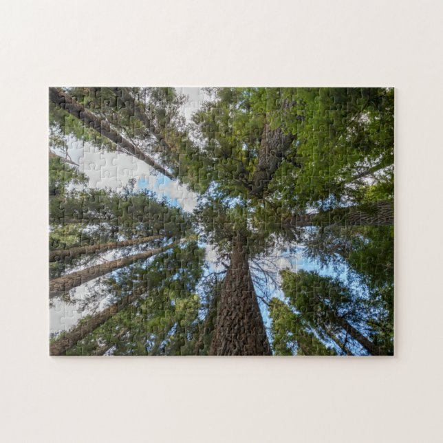 Douglas Fir Baumkronen Puzzle (Horizontal)