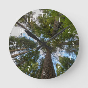 Douglas Fir Baumkronen Runde Wanduhr