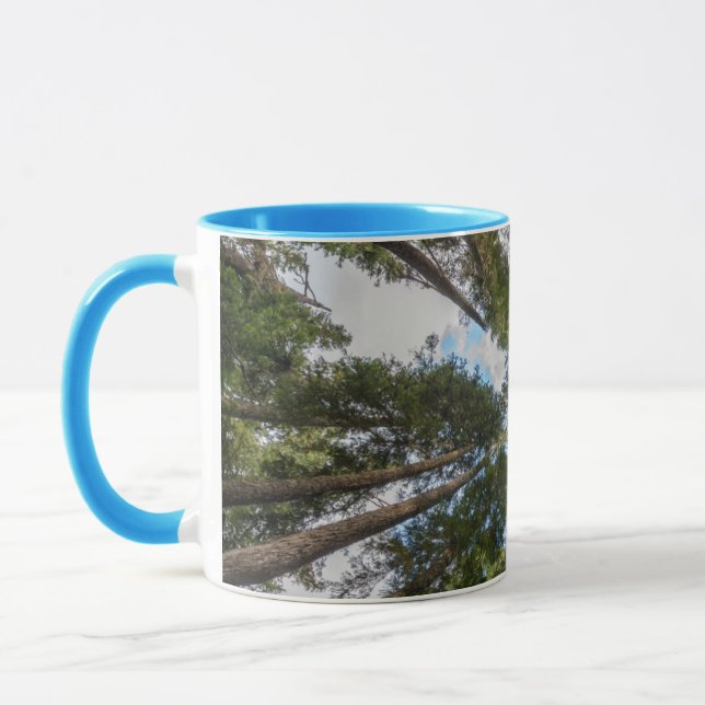 Douglas Fir Baumkronen Tasse (Links)