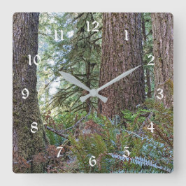 Douglas Fir Conifer Forest Große Wanduhr