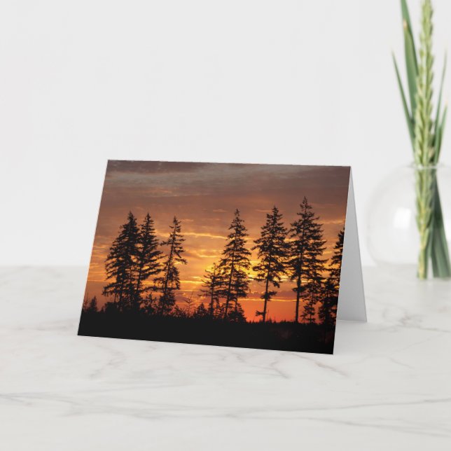 Douglas Firs und Sunrise. - Rahmenart Karte (Vorderseite)