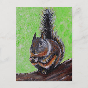 Douglas-Hörnchen-Malerei 2 Postkarte