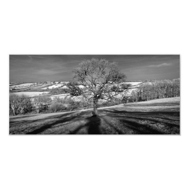 Doulting Hill Panorama Fotodruck (Vorne)