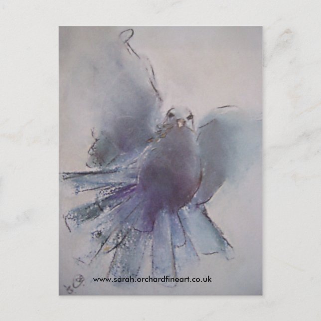 Dove - 2010 feiertagspostkarte (Vorderseite)