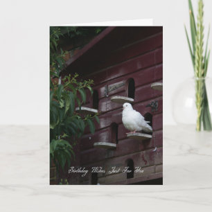 Dove Birthday Grußkarte Karte