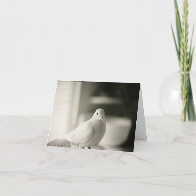 Dove Blank Card Karte (Vorderseite)