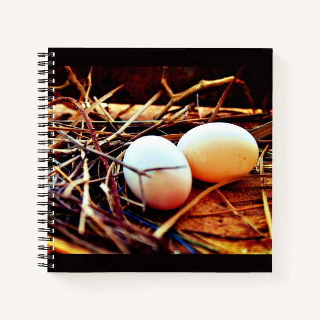 Dove Eggs Notizbuch (Vorderseite)