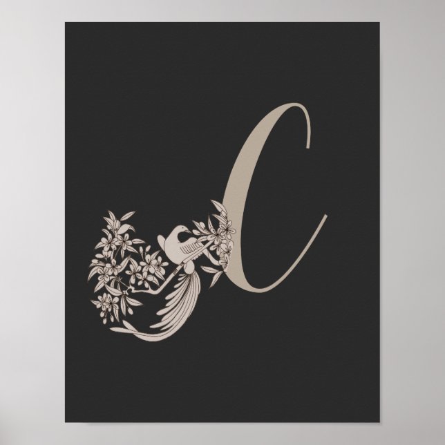 Dove Elegant Monogram Initial C Poster (Vorne)