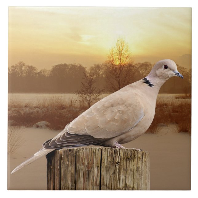 DOVE FLIESE (Vorderseite)