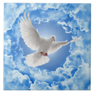 Dove Keramik Tile Fliese