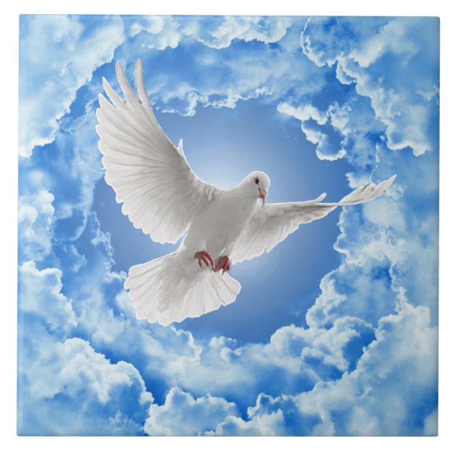 Dove Keramik Tile Fliese (Vorderseite)