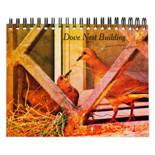 Dove Nest Gebäude Kalender