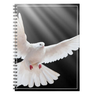 Dove-Notebook Notizblock