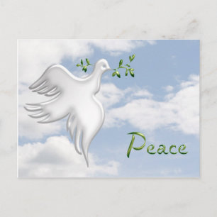 Dove Peace Sky Postcard Postkarte