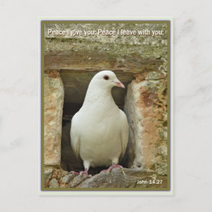Dove Postkarte