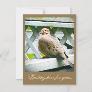 "DOVE" POSTKARTE