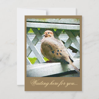 "DOVE" POSTKARTE