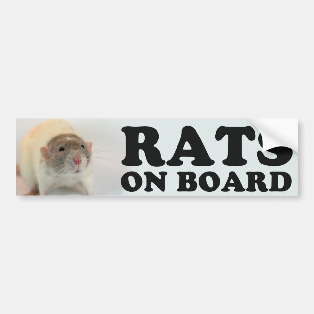 (Dove) Ratten man board Autoaufkleber (Vorne)