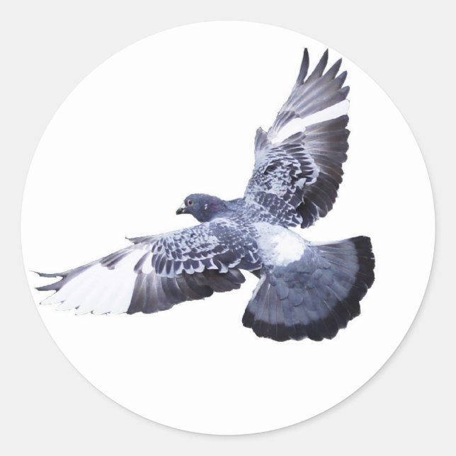 Dove Round Sticker (Vorderseite)