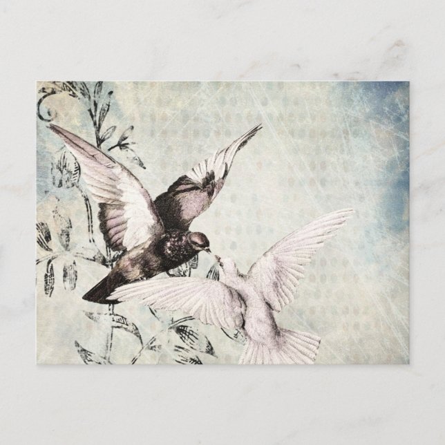 Doves Postkarte (Vorderseite)