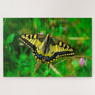 Dovetail Papilio Machaon Butterfly. Puzzle