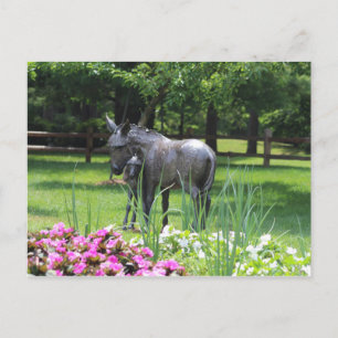 Dow Gardens, Midland, Michigan Postkarte