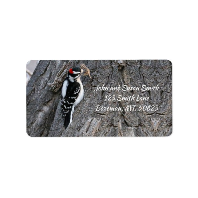 Download des Woodpecker-Adressenlabels Adressaufkleber (Vorne)