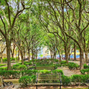 Downtown Charleston, SC Gebäude Poster