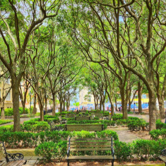 Downtown Charleston, SC Gebäude Poster