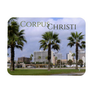 Downtown Corpus Christi Texas Souvenir Magnet