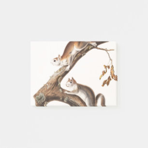 Downy Brown Squirrel House Post-it Klebezettel