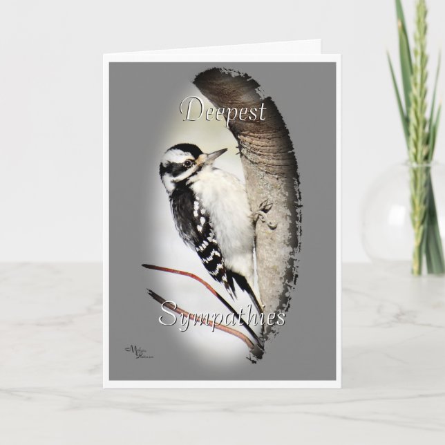 Downy Woodpecker 8998 - nach Wunsch anpassen Karte (Vorderseite)