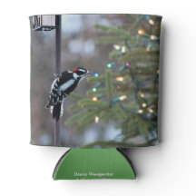 Downy Woodpecker & Christmas Tree