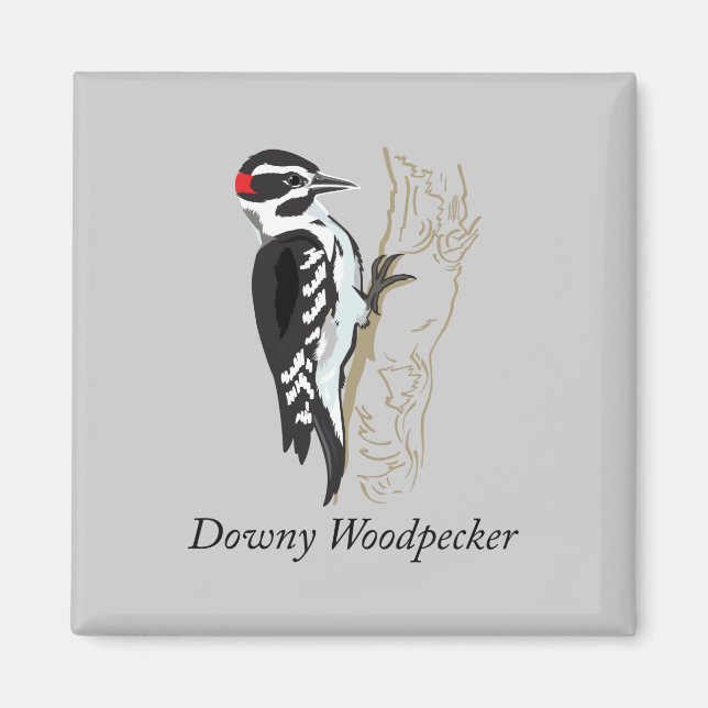 Downy Woodpecker Illustration Magnet (Vorne)