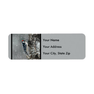 Downy Woodpecker in Snow - Original Foto