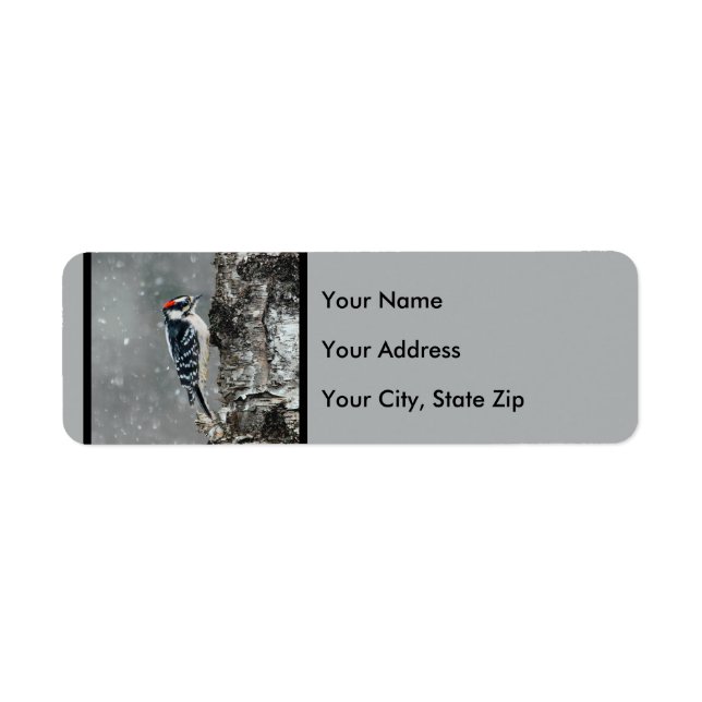 Downy Woodpecker in Snow - Original Foto (Vorne)