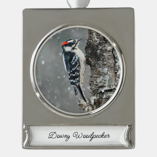 Downy Woodpecker in Snow - Original Foto Banner-Ornament Silber (Vorderseite)