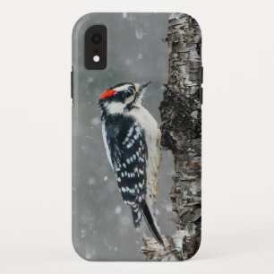 Downy Woodpecker in Snow - Original Foto Case-Mate iPhone Hülle