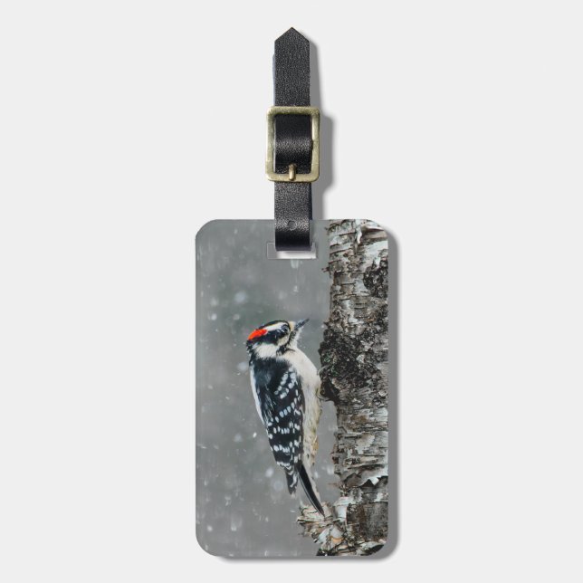 Downy Woodpecker in Snow - Original Foto Gepäckanhänger (Vorderseite vertikal)