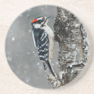 Downy Woodpecker in Snow - Original Foto Getränkeuntersetzer