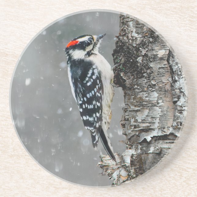 Downy Woodpecker in Snow - Original Foto Getränkeuntersetzer (Vorne)