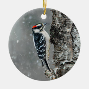 Downy Woodpecker in Snow - Original Foto Keramik Ornament