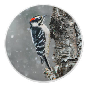Downy Woodpecker in Snow - Original Foto Keramikknauf