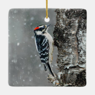 Downy Woodpecker in Snow - Original Foto Keramikornament